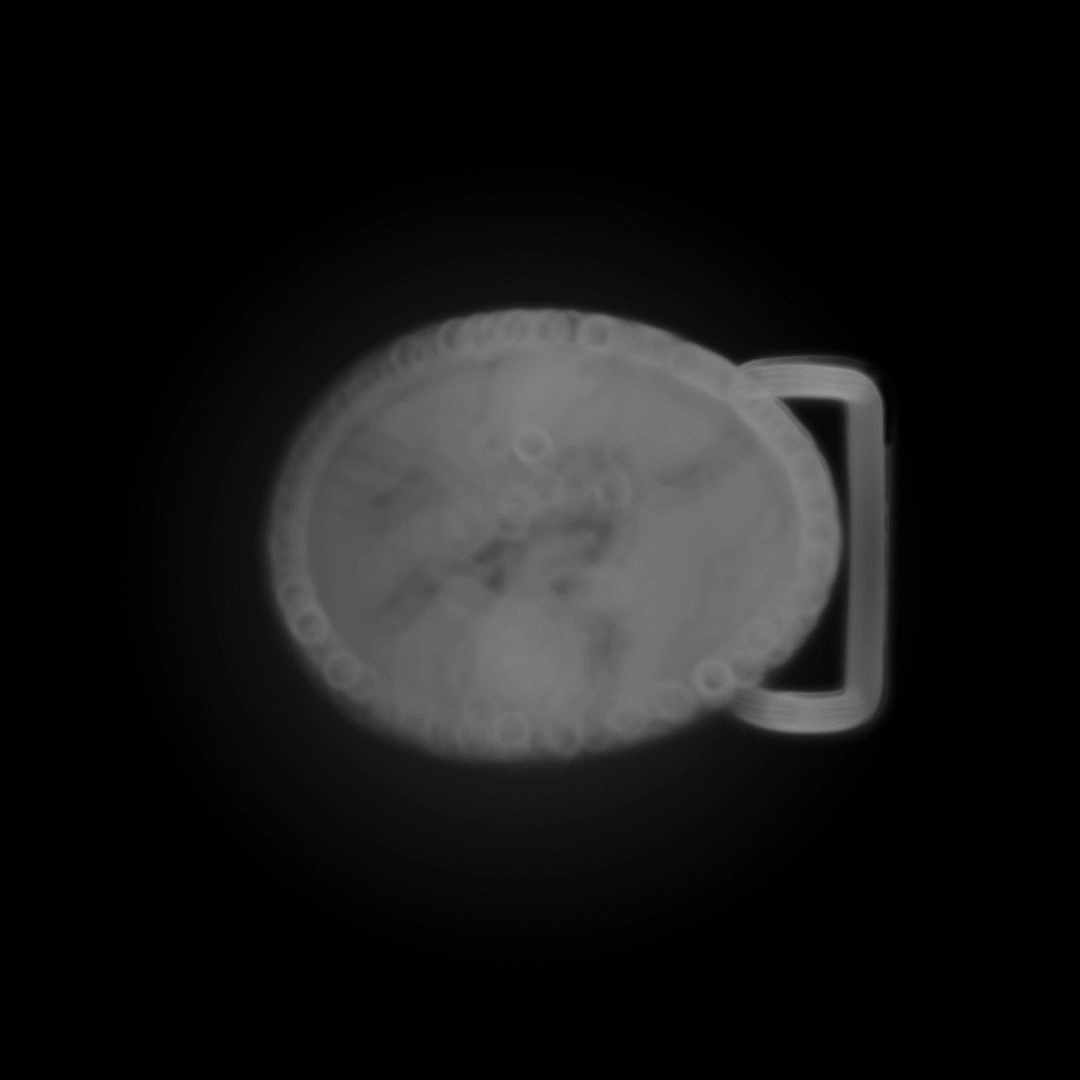 Archaeopteryx Buckle - September
