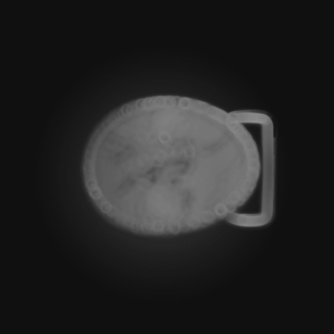 Archaeopteryx Buckle - September