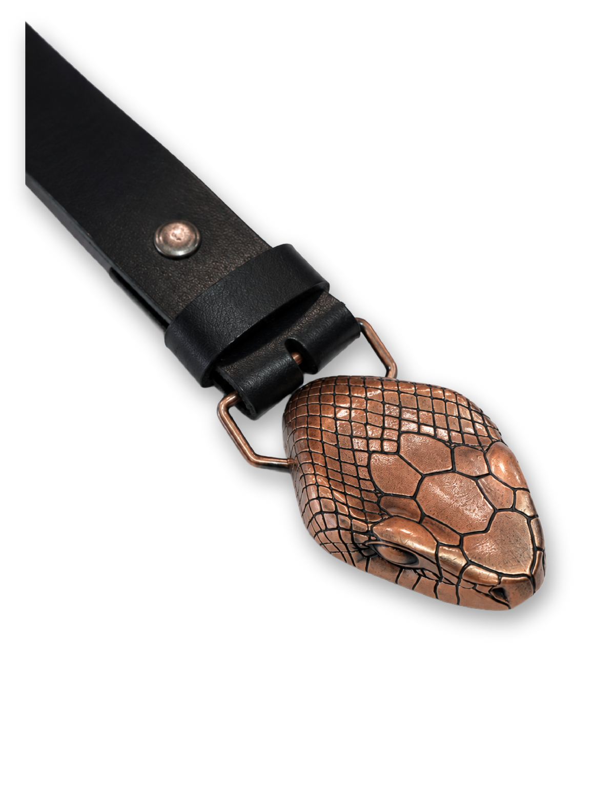 Copperhead Buckle